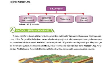 10. Sınıf Tutku Yayıncılık Coğrafya Ders Kitabı Sayfa 30 Cevapları