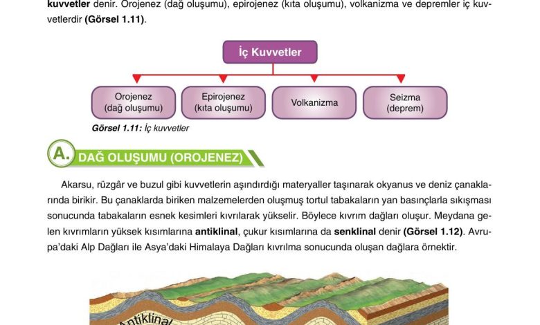 10. Sınıf Tutku Yayıncılık Coğrafya Ders Kitabı Sayfa 30 Cevapları