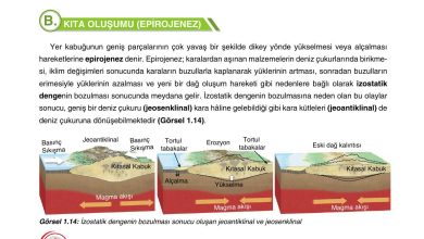 10. Sınıf Tutku Yayıncılık Coğrafya Ders Kitabı Sayfa 31 Cevapları