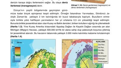 10. Sınıf Tutku Yayıncılık Coğrafya Ders Kitabı Sayfa 32 Cevapları