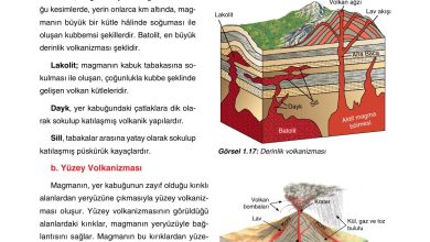 10. Sınıf Tutku Yayıncılık Coğrafya Ders Kitabı Sayfa 33 Cevapları