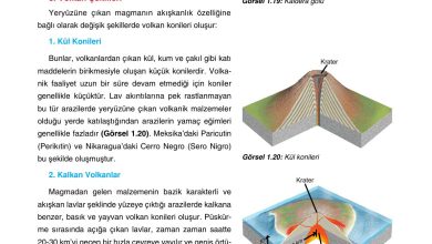 10. Sınıf Tutku Yayıncılık Coğrafya Ders Kitabı Sayfa 34 Cevapları