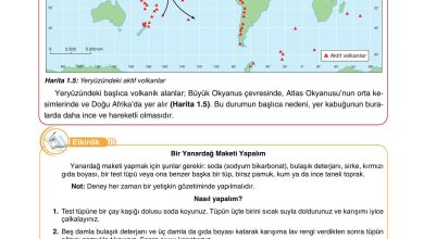 10. Sınıf Tutku Yayıncılık Coğrafya Ders Kitabı Sayfa 35 Cevapları