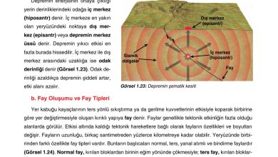 10. Sınıf Tutku Yayıncılık Coğrafya Ders Kitabı Sayfa 36 Cevapları