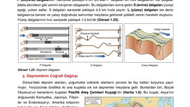 10. Sınıf Tutku Yayıncılık Coğrafya Ders Kitabı Sayfa 37 Cevapları