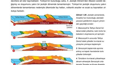 10. Sınıf Tutku Yayıncılık Coğrafya Ders Kitabı Sayfa 39 Cevapları