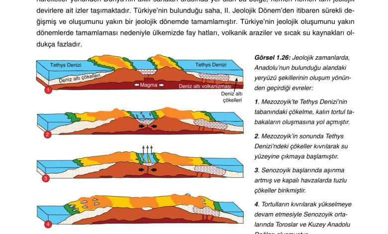 10. Sınıf Tutku Yayıncılık Coğrafya Ders Kitabı Sayfa 39 Cevapları