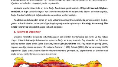 10. Sınıf Tutku Yayıncılık Coğrafya Ders Kitabı Sayfa 41 Cevapları