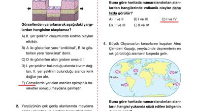 10. Sınıf Tutku Yayıncılık Coğrafya Ders Kitabı Sayfa 43 Cevapları