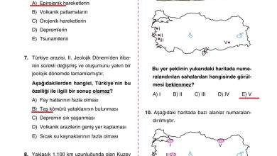 10. Sınıf Tutku Yayıncılık Coğrafya Ders Kitabı Sayfa 44 Cevapları