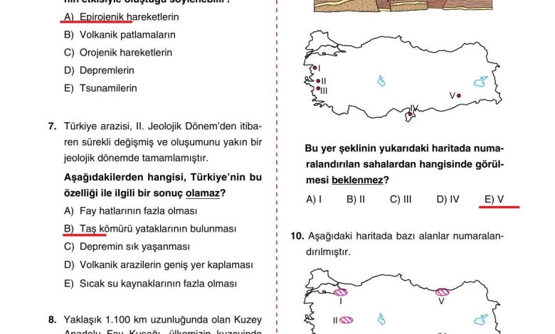 10. Sınıf Tutku Yayıncılık Coğrafya Ders Kitabı Sayfa 44 Cevapları