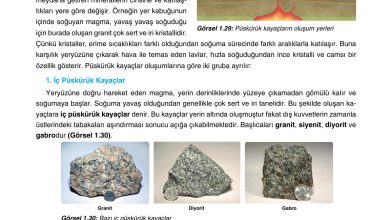 10. Sınıf Tutku Yayıncılık Coğrafya Ders Kitabı Sayfa 47 Cevapları