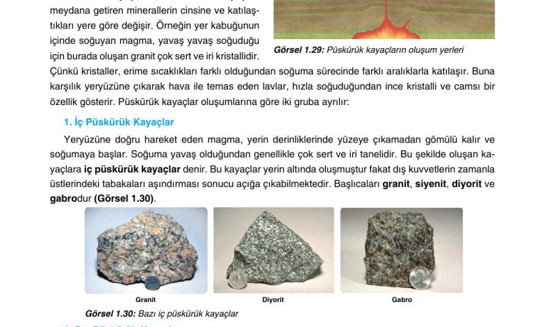 10. Sınıf Tutku Yayıncılık Coğrafya Ders Kitabı Sayfa 47 Cevapları