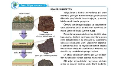 10. Sınıf Tutku Yayıncılık Coğrafya Ders Kitabı Sayfa 49 Cevapları