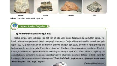 10. Sınıf Tutku Yayıncılık Coğrafya Ders Kitabı Sayfa 50 Cevapları