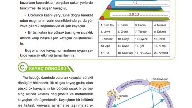 10. Sınıf Tutku Yayıncılık Coğrafya Ders Kitabı Sayfa 51 Cevapları