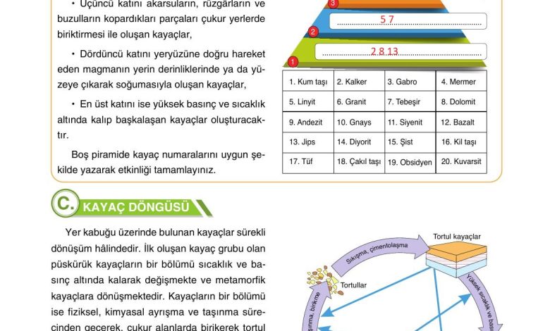 10. Sınıf Tutku Yayıncılık Coğrafya Ders Kitabı Sayfa 51 Cevapları