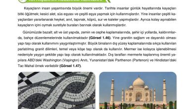 10. Sınıf Tutku Yayıncılık Coğrafya Ders Kitabı Sayfa 53 Cevapları