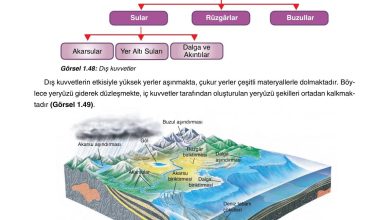 10. Sınıf Tutku Yayıncılık Coğrafya Ders Kitabı Sayfa 58 Cevapları