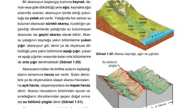 10. Sınıf Tutku Yayıncılık Coğrafya Ders Kitabı Sayfa 59 Cevapları