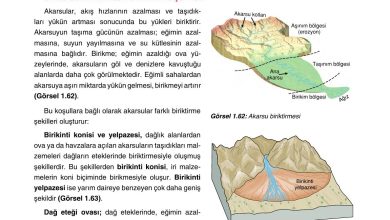 10. Sınıf Tutku Yayıncılık Coğrafya Ders Kitabı Sayfa 62 Cevapları