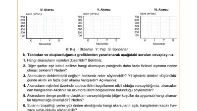 10. Sınıf Tutku Yayıncılık Coğrafya Ders Kitabı Sayfa 64 Cevapları