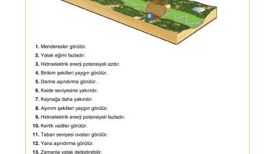 10. Sınıf Tutku Yayıncılık Coğrafya Ders Kitabı Sayfa 65 Cevapları