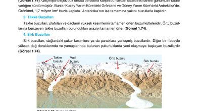 10. Sınıf Tutku Yayıncılık Coğrafya Ders Kitabı Sayfa 69 Cevapları