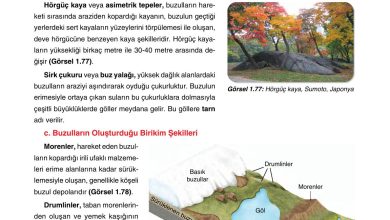 10. Sınıf Tutku Yayıncılık Coğrafya Ders Kitabı Sayfa 70 Cevapları