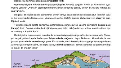 10. Sınıf Tutku Yayıncılık Coğrafya Ders Kitabı Sayfa 75 Cevapları