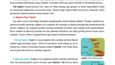 10. Sınıf Tutku Yayıncılık Coğrafya Ders Kitabı Sayfa 76 Cevapları