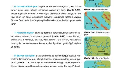 10. Sınıf Tutku Yayıncılık Coğrafya Ders Kitabı Sayfa 77 Cevapları