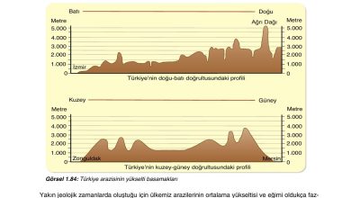 10. Sınıf Tutku Yayıncılık Coğrafya Ders Kitabı Sayfa 78 Cevapları