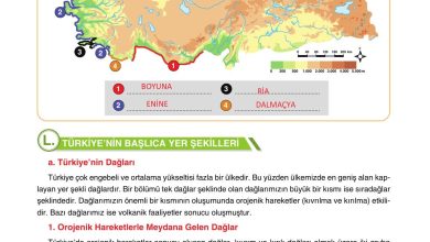 10. Sınıf Tutku Yayıncılık Coğrafya Ders Kitabı Sayfa 86 Cevapları