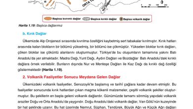 10. Sınıf Tutku Yayıncılık Coğrafya Ders Kitabı Sayfa 87 Cevapları