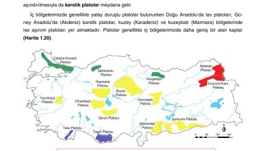 10. Sınıf Tutku Yayıncılık Coğrafya Ders Kitabı Sayfa 88 Cevapları