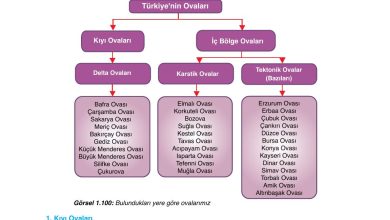 10. Sınıf Tutku Yayıncılık Coğrafya Ders Kitabı Sayfa 89 Cevapları