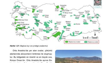 10. Sınıf Tutku Yayıncılık Coğrafya Ders Kitabı Sayfa 90 Cevapları