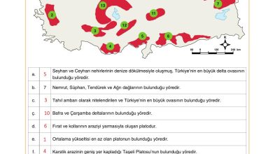 10. Sınıf Tutku Yayıncılık Coğrafya Ders Kitabı Sayfa 91 Cevapları