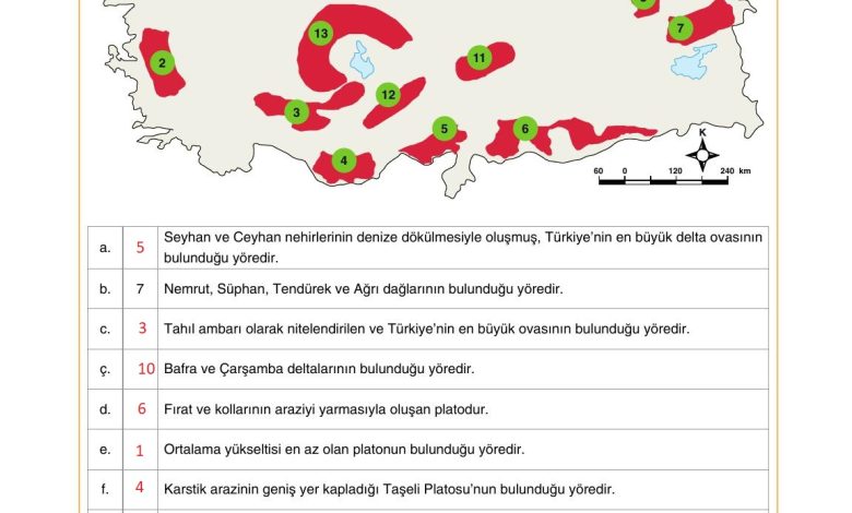 10. Sınıf Tutku Yayıncılık Coğrafya Ders Kitabı Sayfa 91 Cevapları