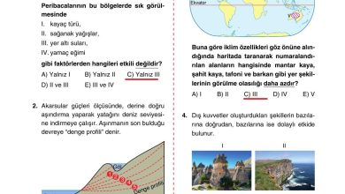 10. Sınıf Tutku Yayıncılık Coğrafya Ders Kitabı Sayfa 93 Cevapları