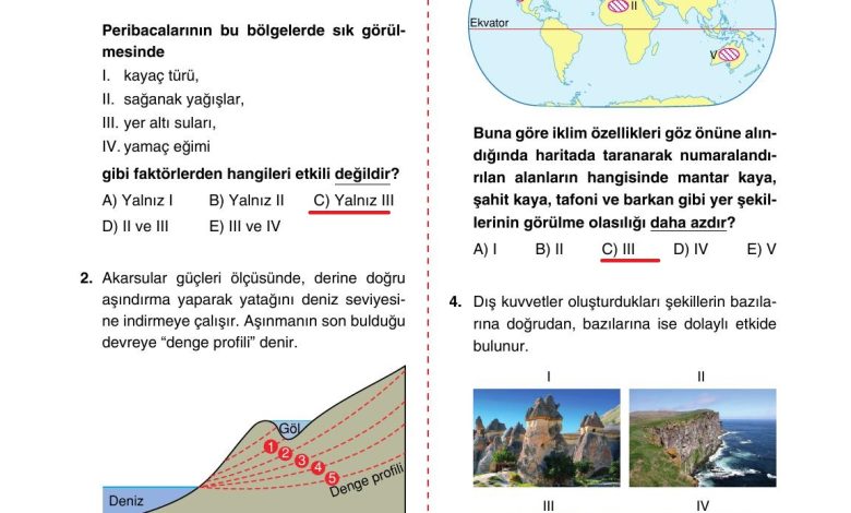 10. Sınıf Tutku Yayıncılık Coğrafya Ders Kitabı Sayfa 93 Cevapları