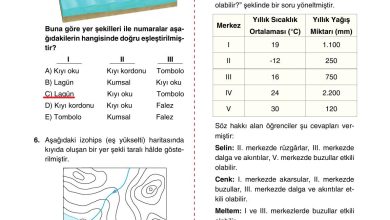 10. Sınıf Tutku Yayıncılık Coğrafya Ders Kitabı Sayfa 94 Cevapları