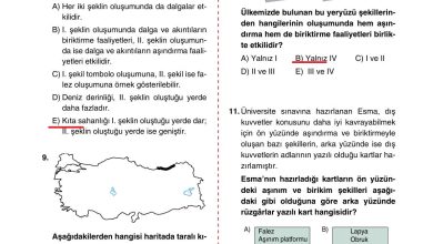 10. Sınıf Tutku Yayıncılık Coğrafya Ders Kitabı Sayfa 95 Cevapları