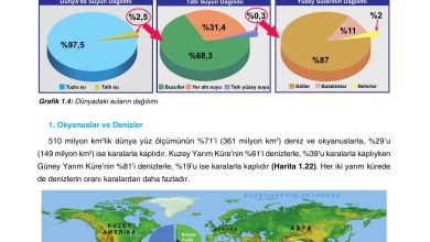 10. Sınıf Tutku Yayıncılık Coğrafya Ders Kitabı Sayfa 98 Cevapları