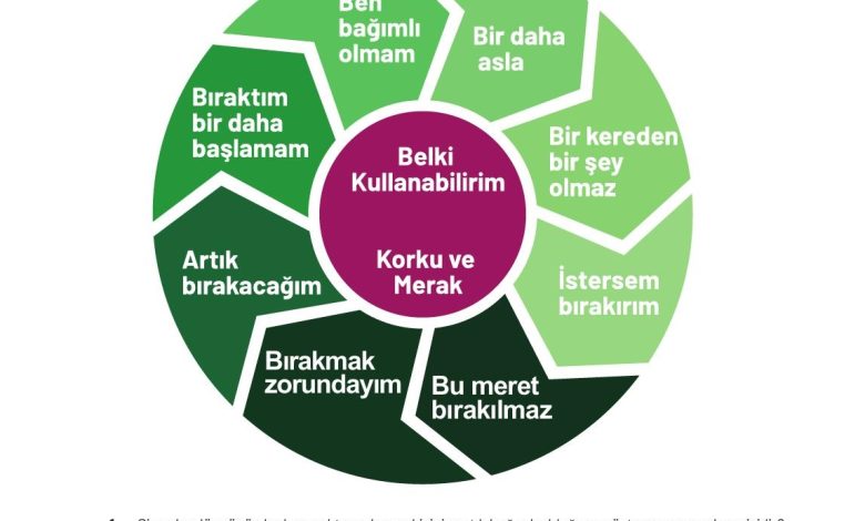 9. Sınıf Meb Yayınları Temel Dini Bilgiler Ders Kitabı Sayfa 147 Cevapları