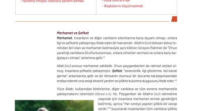 9. Sınıf Meb Yayınları Temel Dini Bilgiler Ders Kitabı Sayfa 134 Cevapları