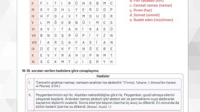 9. Sınıf Meb Yayınları Temel Dini Bilgiler Ders Kitabı Sayfa 117 Cevapları