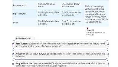 9. Sınıf Meb Yayınları Temel Dini Bilgiler Ders Kitabı Sayfa 109 Cevapları