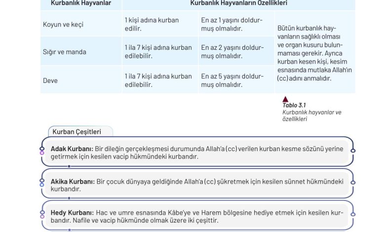 9. Sınıf Meb Yayınları Temel Dini Bilgiler Ders Kitabı Sayfa 109 Cevapları